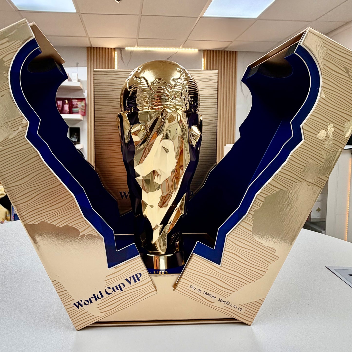 World Cup VIP